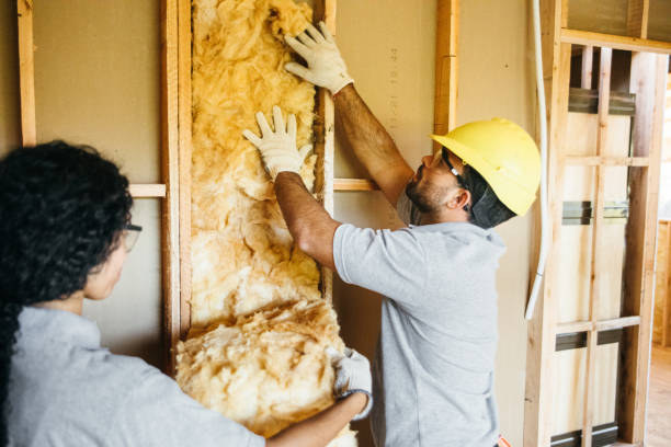 Best Crawl Space Insulation  in Glasgow, VA